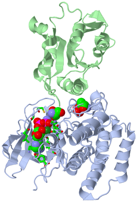 Image Biol. Unit 1 - sites