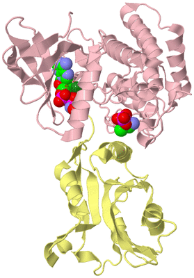 Image Biological Unit 2