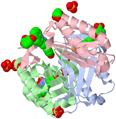 Image Asym./Biol. Unit