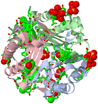 Image Asym./Biol. Unit - sites