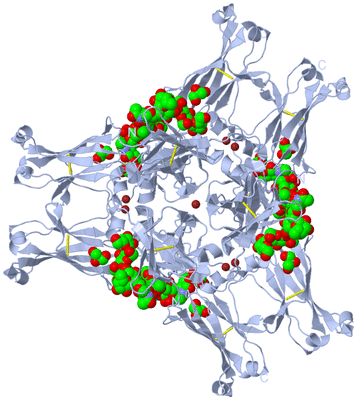 Image Biological Unit 1