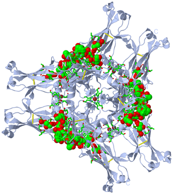 Image Biol. Unit 1 - sites