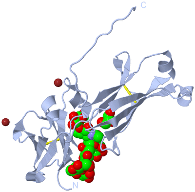 Image Biological Unit 2