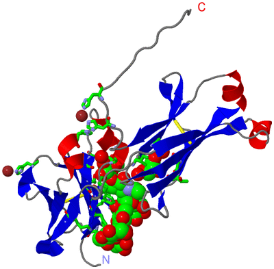 Image Asym. Unit - sites