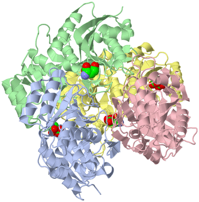 Image Asym./Biol. Unit