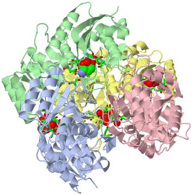 Image Asym./Biol. Unit - sites