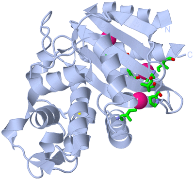 Image Biol. Unit 1 - sites