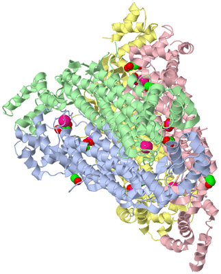 Image Asym./Biol. Unit