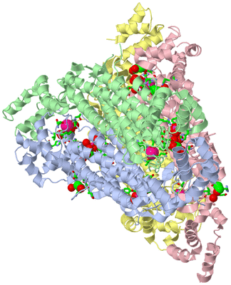 Image Asym./Biol. Unit - sites