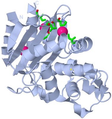 Image Biol. Unit 1 - sites