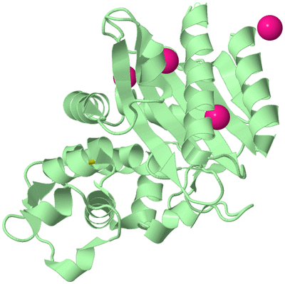 Image Biological Unit 2