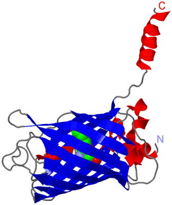 Image Asymmetric Unit