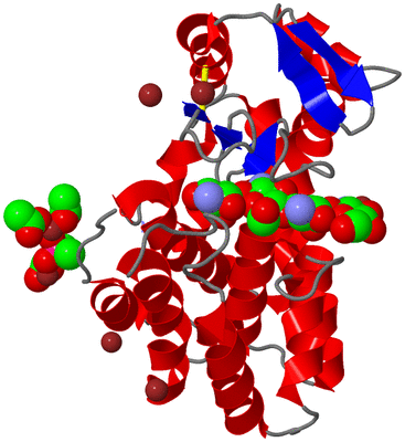 Image Asym./Biol. Unit