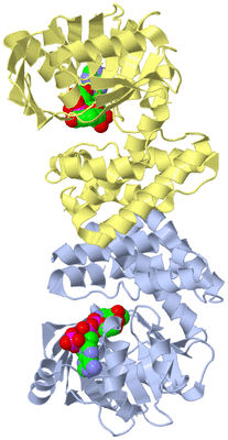 Image Biological Unit 1