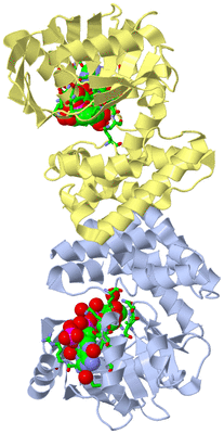 Image Biol. Unit 1 - sites