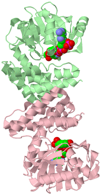 Image Biological Unit 2