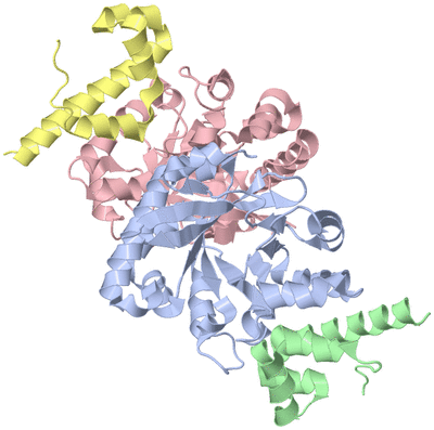 Image Asymmetric Unit