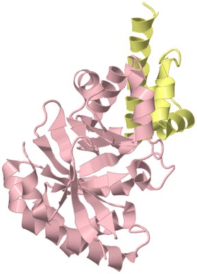 Image Biological Unit 2