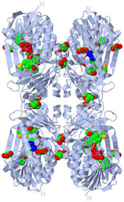 Image Biological Unit 1