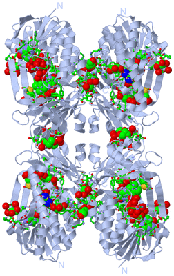 Image Biol. Unit 1 - sites