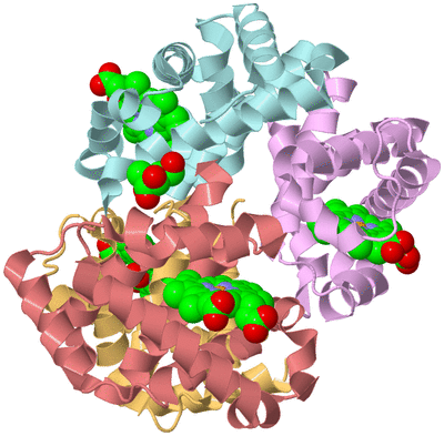 Image Biological Unit 1