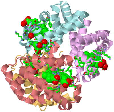 Image Biol. Unit 1 - sites