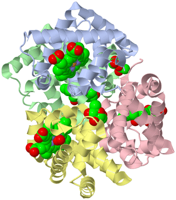 Image Biological Unit 2