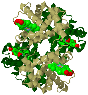 Image Biological Unit 3