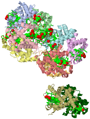 Image Asym. Unit - sites