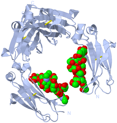 Image Biological Unit 1