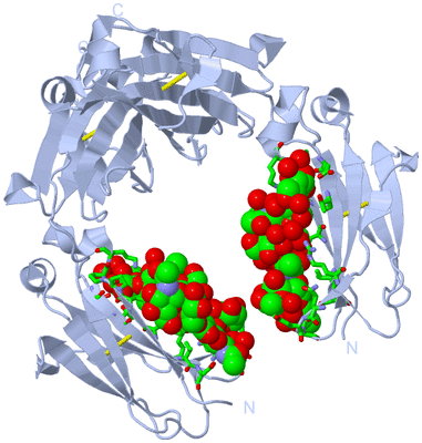 Image Biol. Unit 1 - sites