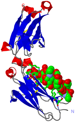 Image Asym. Unit - sites