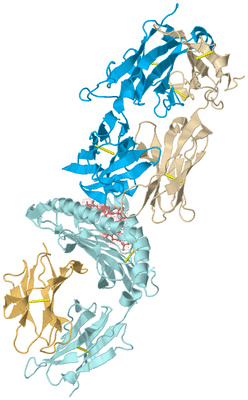 Image Biological Unit 2