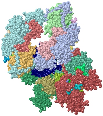 Image Asymmetric Unit