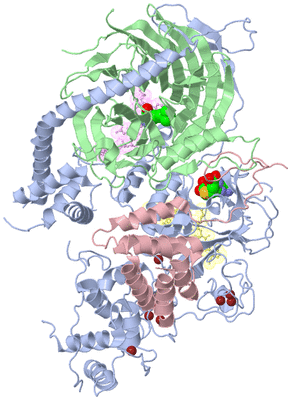 Image Biological Unit 1