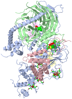 Image Biol. Unit 1 - sites