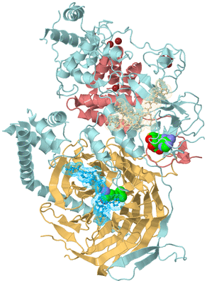 Image Biological Unit 2