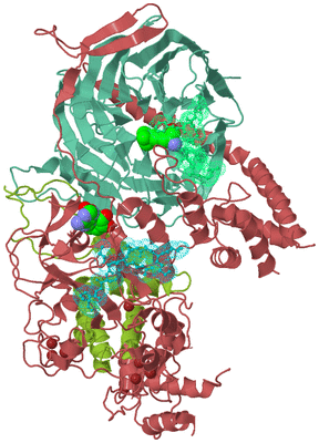 Image Biological Unit 3