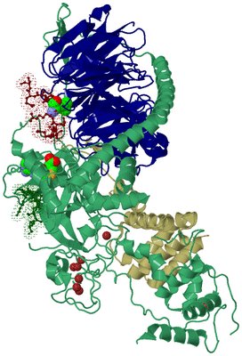 Image Biological Unit 4