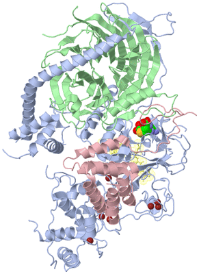Image Biological Unit 5