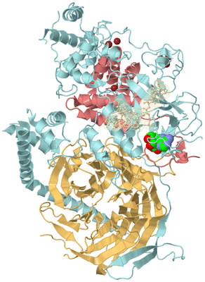 Image Biological Unit 6