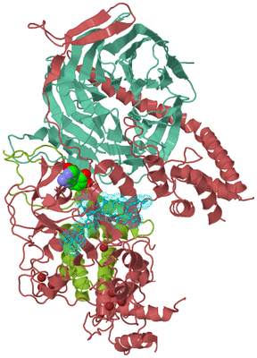 Image Biological Unit 7