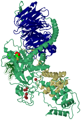Image Biological Unit 8