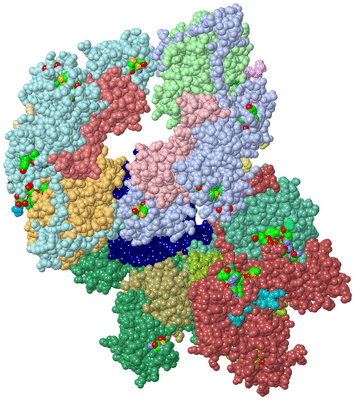 Image Asym. Unit - sites