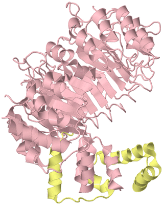 Image Biological Unit 2