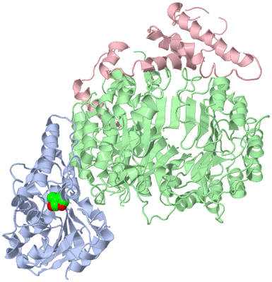 Image Biological Unit 1