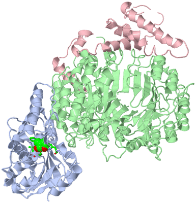 Image Biol. Unit 1 - sites