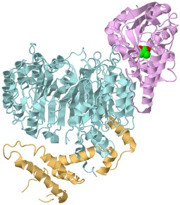 Image Biological Unit 2