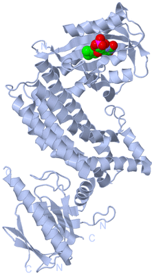 Image Biological Unit 1