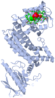 Image Biol. Unit 1 - sites